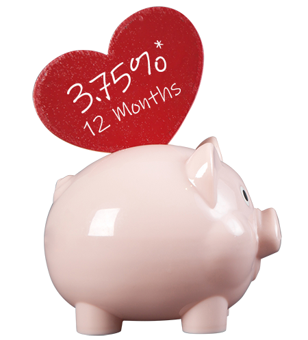 ValentinesDayPiggy